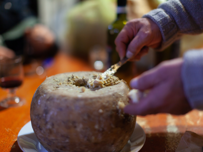 Perchè il formaggio Casu Marzu può essere pericoloso?