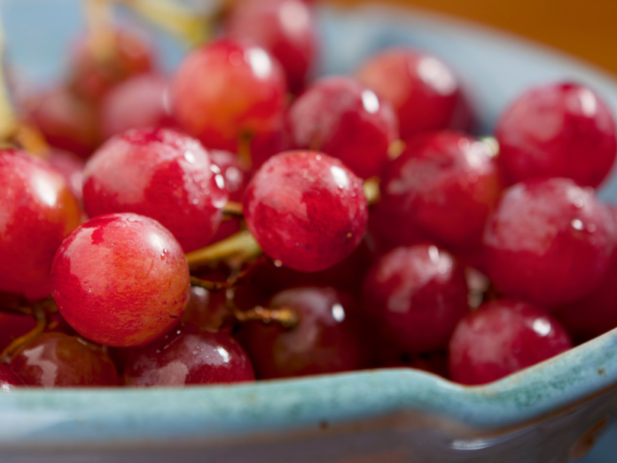 Il tesoro del Giappone: l'uva Ruby Romans